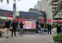 El debate por huevos libres de jaulas se reaviva en Perú en medio de la crisis por gripe aviar