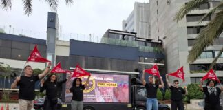 El debate por huevos libres de jaulas se reaviva en Perú en medio de la crisis por gripe aviar